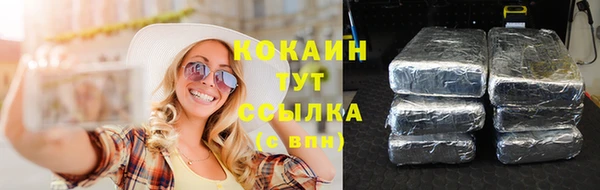 дживик Алзамай