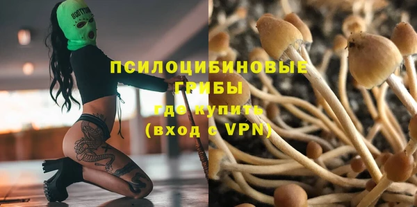 амфетамин Алексеевка